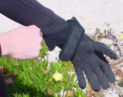 wetsuit gloves