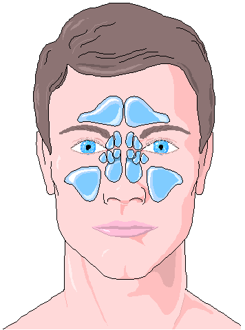 Sinus Injuries