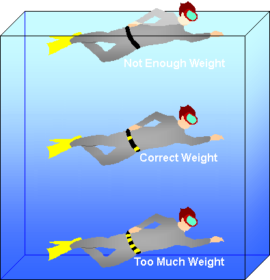 weight and buoyancy