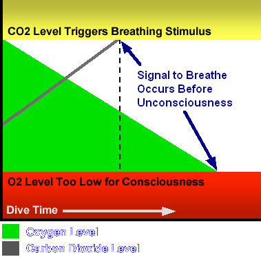 Hyperventilation and Shallow Water Blackout