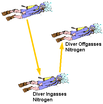 diver ingassing and offgassing