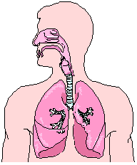 lung overexpansion