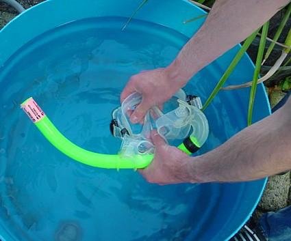 rinsing your mask in fresh water