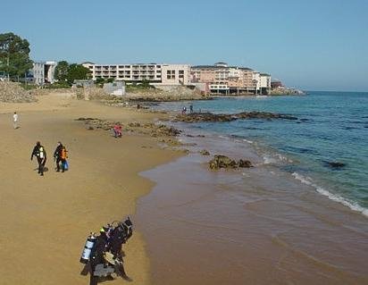 beach divers