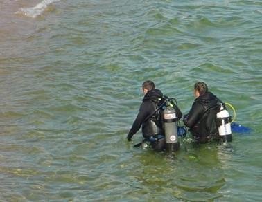divers exiting water