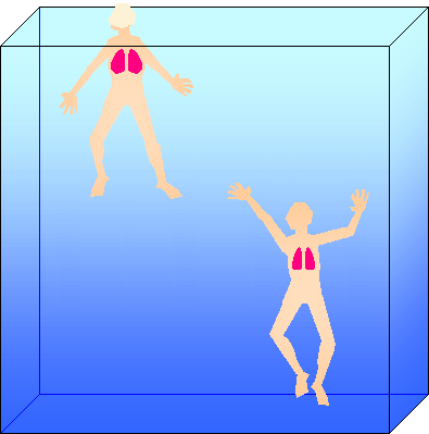 Illustration showing how lung volume affects buoyancy