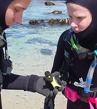 Dive checking buddy's octopus