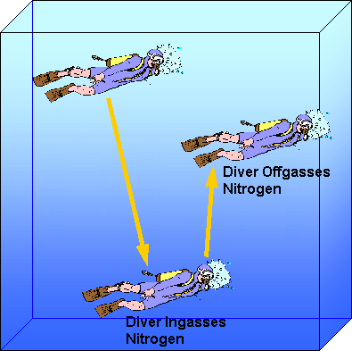 Illustration of in-gassing and off-gassing