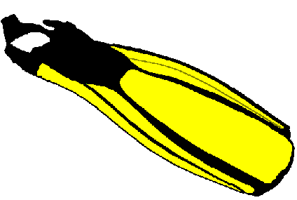 Illustration of heel strap fin