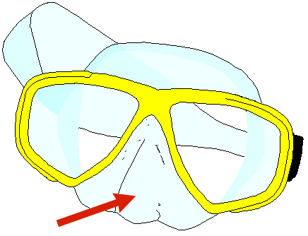 Mask nose pocket