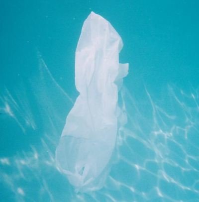 Plastic bag underwater