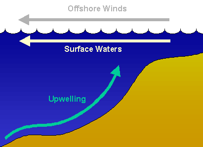 Illustration of upwelling