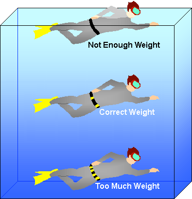 Illustration showing effects of weights on a diver's buoyancy